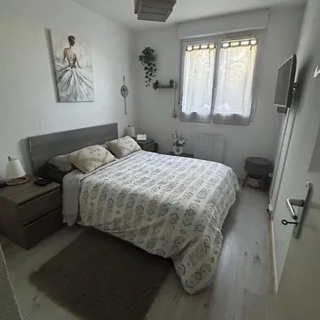 T2 Le Galant Avec Clim Et Parking Διαμέρισμα Aucamville